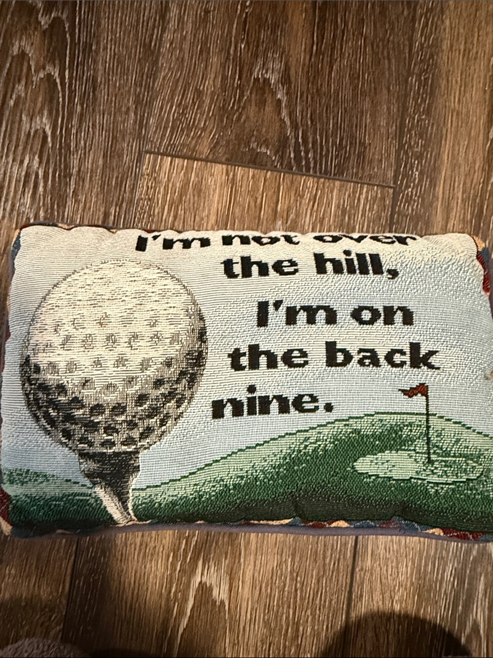 Golf Theme Needlepoint Accent Pillow - White, Green, Black